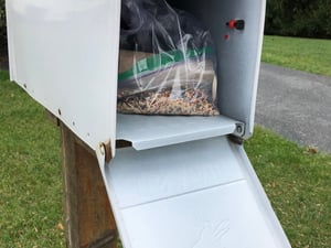 delivering bird feeder supplies mailbox